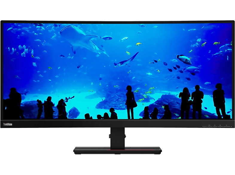 LENOVO Monitor ThinkVision T34w20 Curved, 34 Zoll, QHD, 60Hz, 6ms