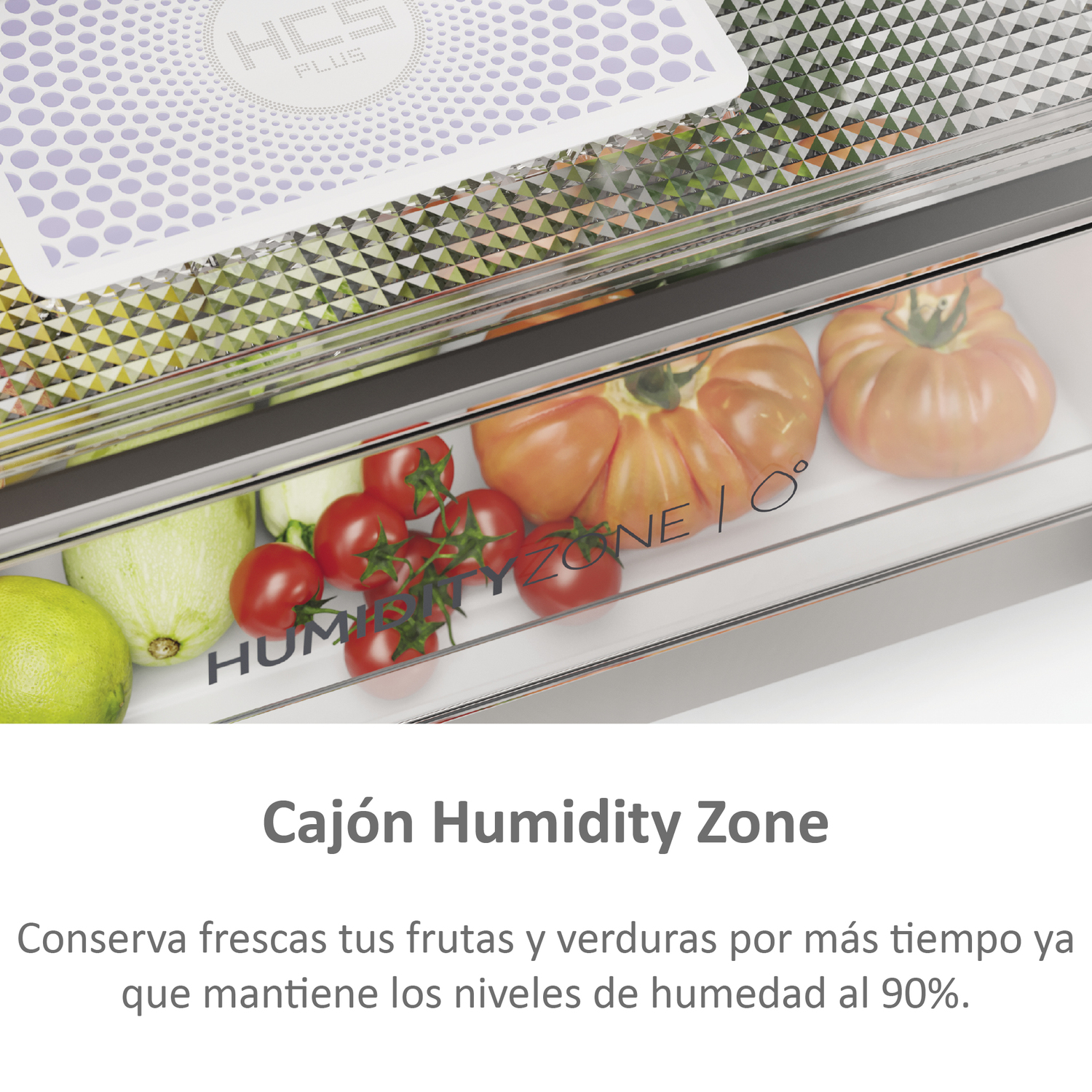 Cajón de nevera con tomates y calabacín. Texto: Zona de Humedad.