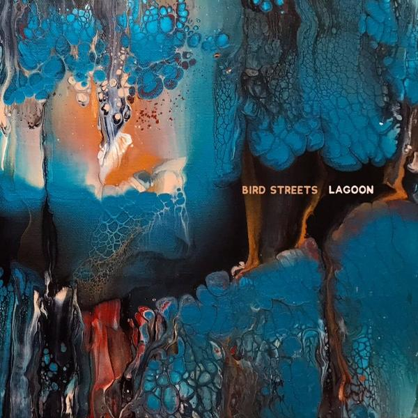 Bird Streets - Lagoons - (Vinyl)