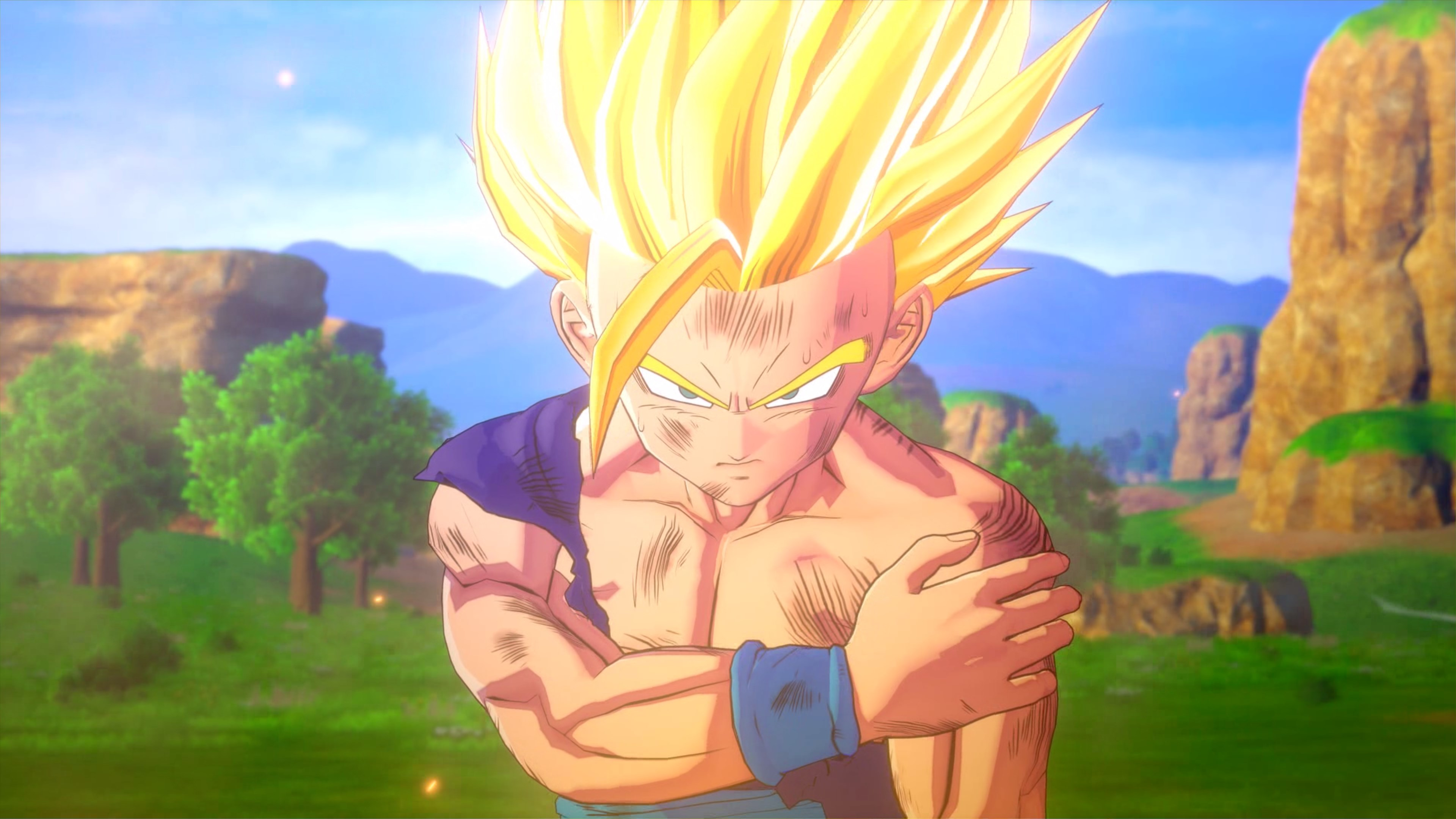 Personnage d'anime blond au regard déterminé. Paysage vert en arrière-plan.