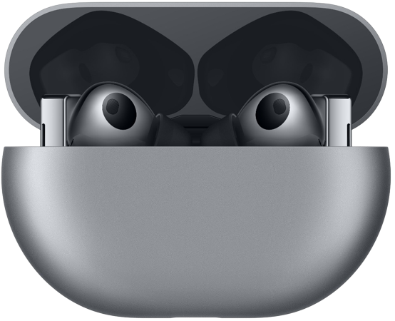 Graue Ohrhörer in einem Ladeetui. Das Etui ist oval und offen. Die Ohrhörer sind dunkelgrau.