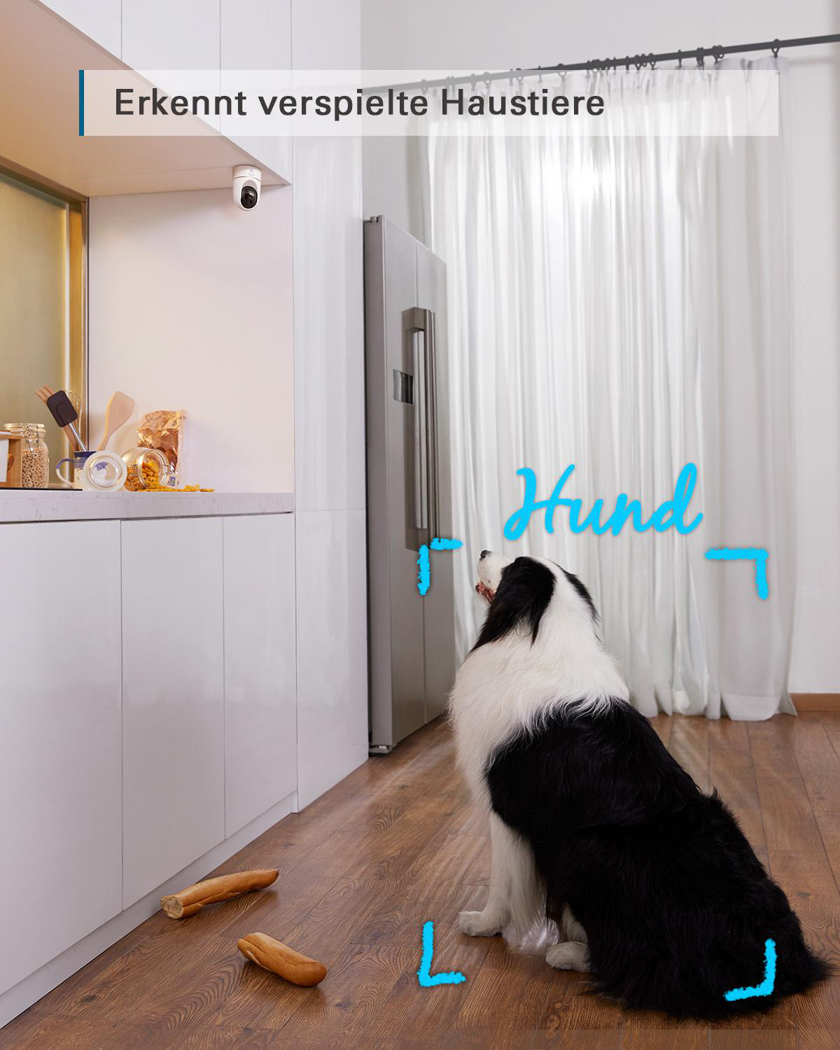 Ein Hund in einer Küche. Text: 'Hund'. Eine Überwachungskamera links, über dem Hund.