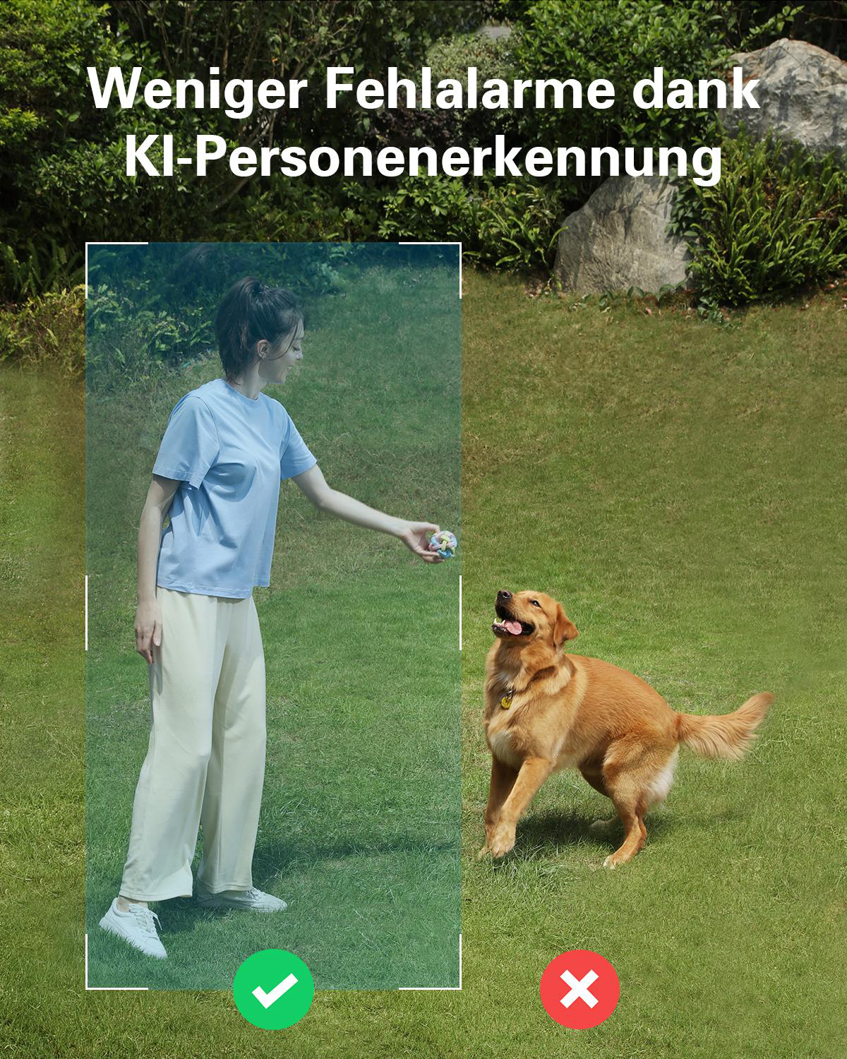 Eine Frau wirft einem Hund einen Ball auf einer grünen Rasenfläche.