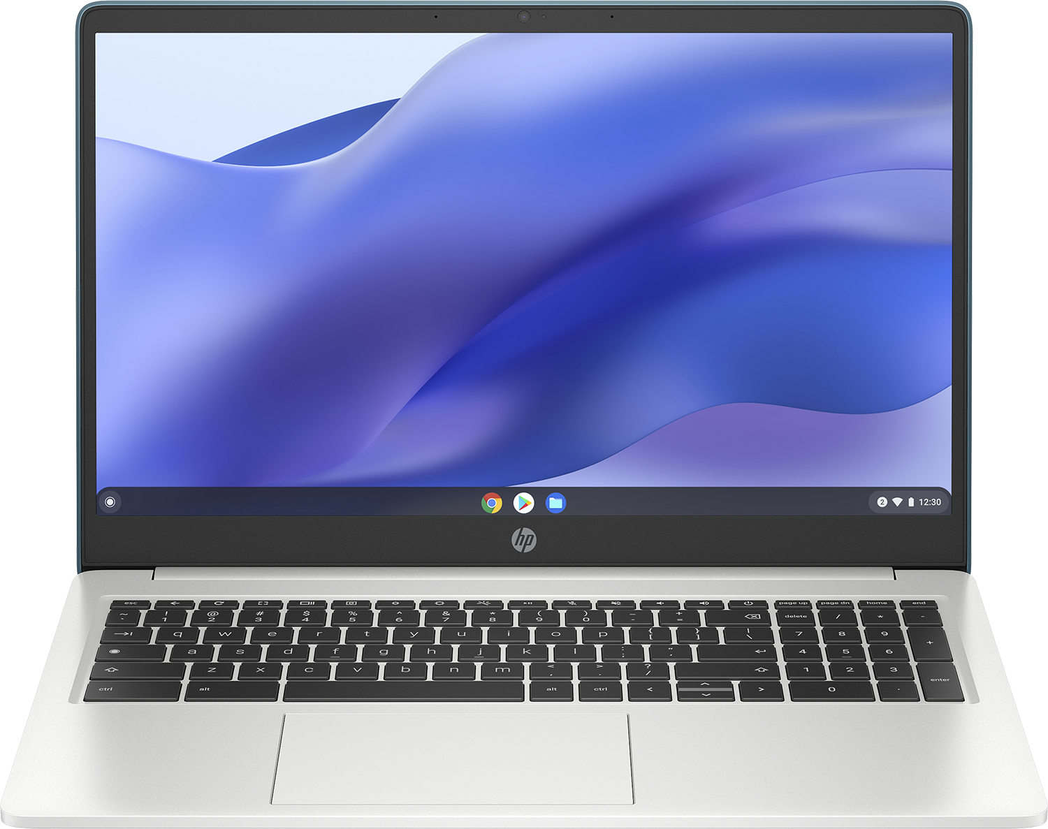 HP CHROMEBOOK 15a-na0155nd - 15.6 inch - Intel Pentium Silver - 8 GB - 128 GB