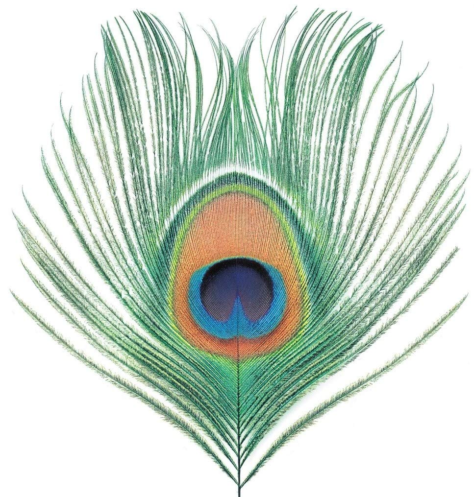 XTC - Wasp Star (Apple Venus Vol. 1) (Vinyl LP (nagylemez))