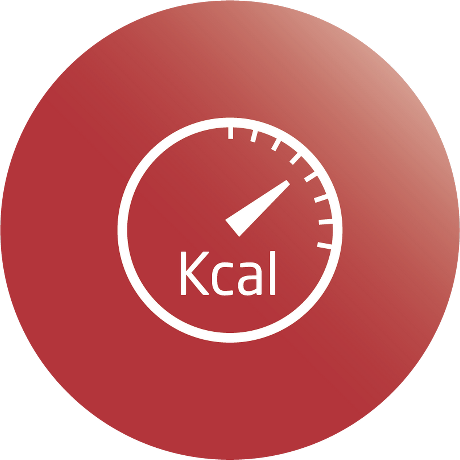 Rode cirkel met een witte wijzerplaat en het woord 'Kcal'. De wijzerplaat wijst omhoog.
