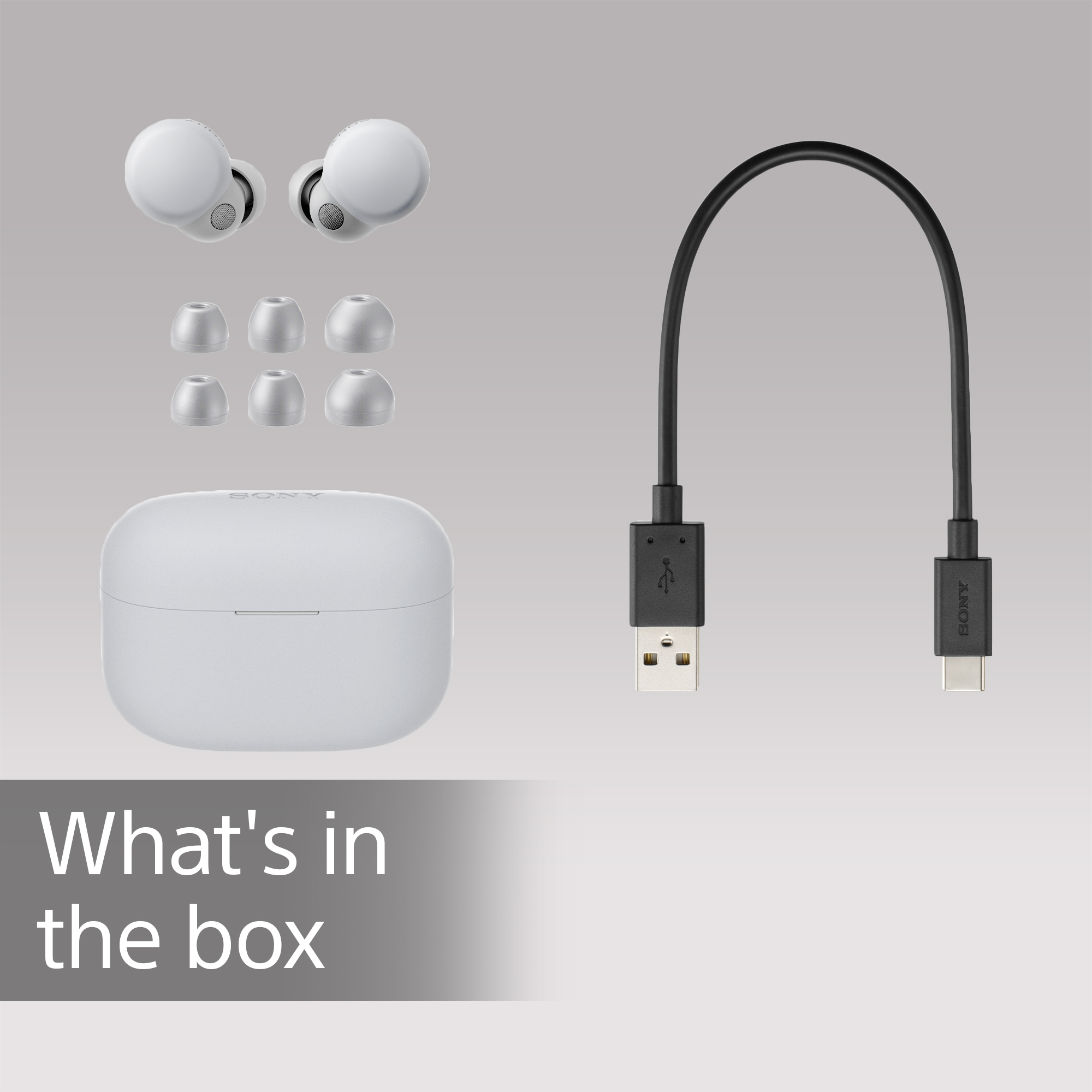 Ohrhörer, Ladeetui und USB-C-Kabel. Weißer Hintergrund. Text: 'Was ist in der Box'.