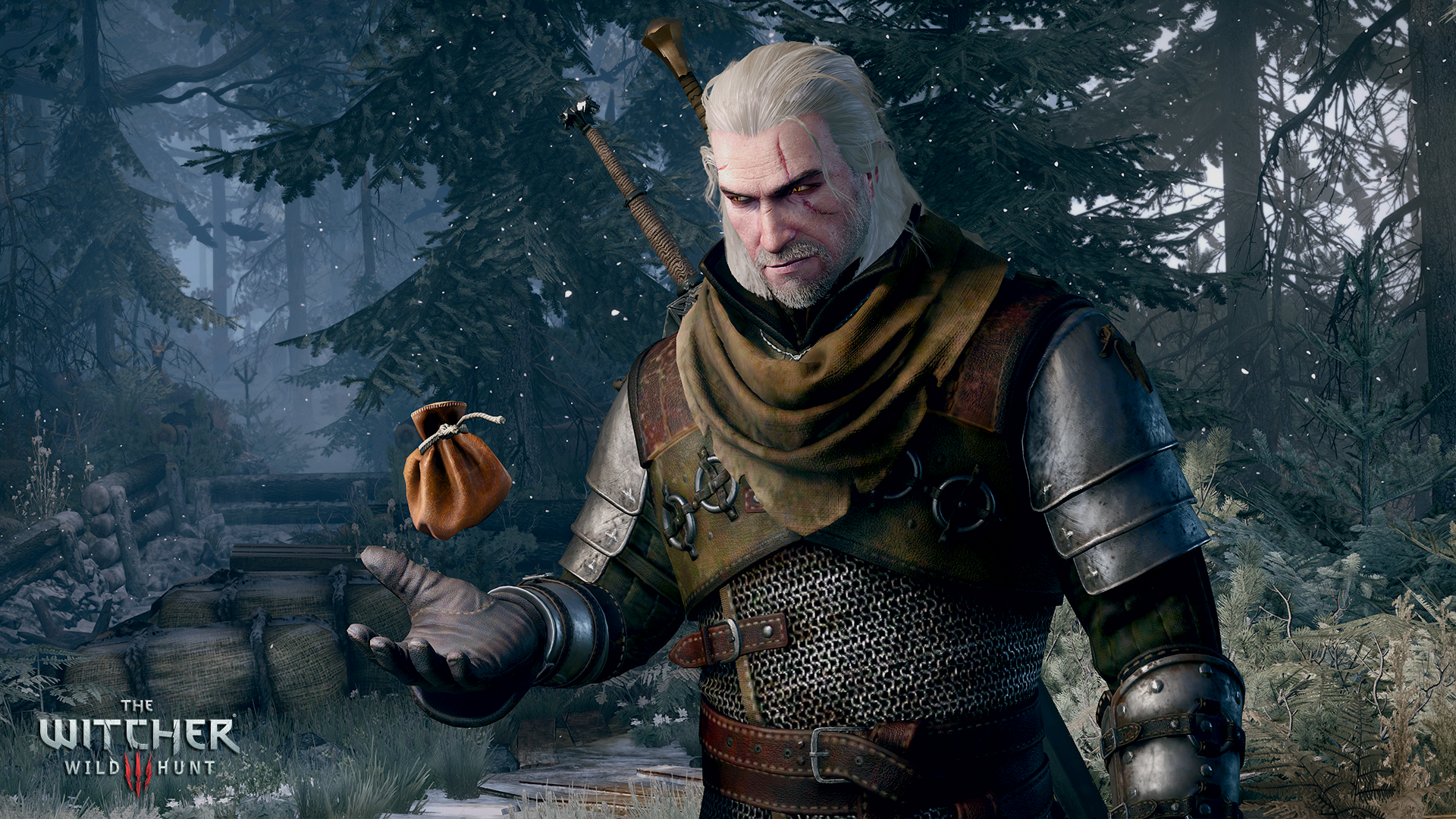 Geralt aus The Witcher, der einen Münzbeutel in einer verschneiten Waldumgebung hält.