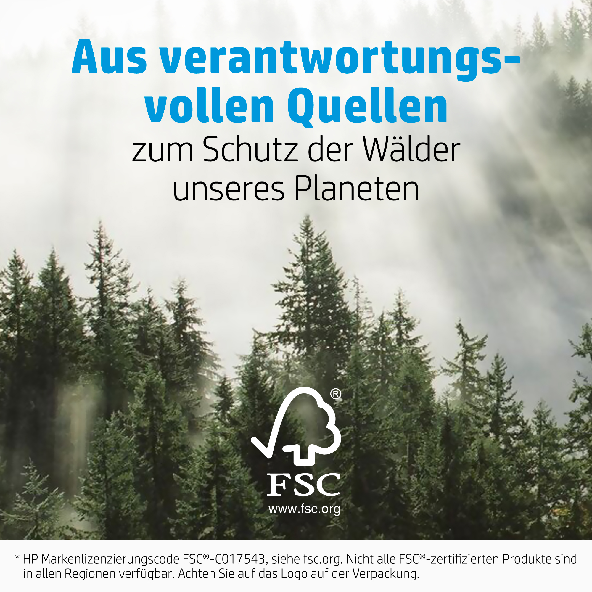 Waldszene mit Text über Umweltverantwortung und dem FSC-Logo, vor nebligem Hintergrund.