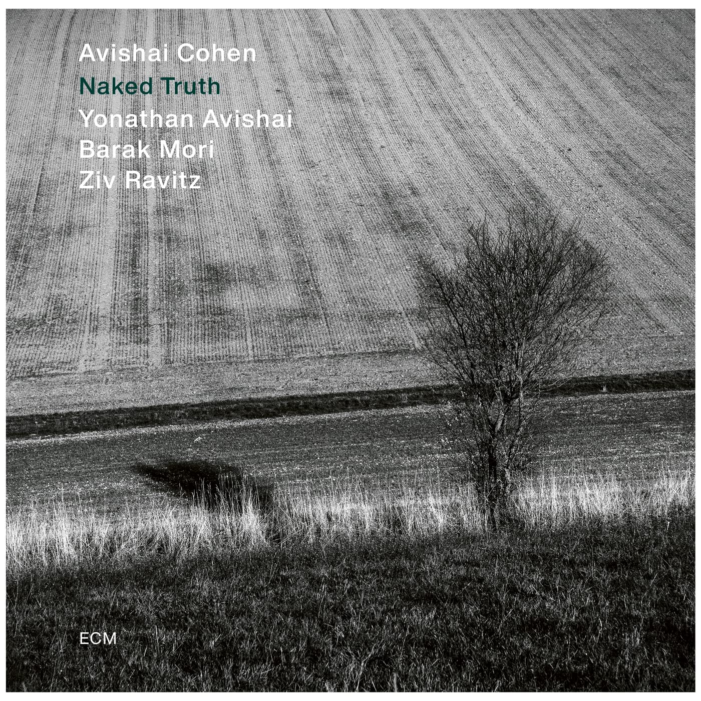 Avishai Cohen Naked Truth album borítója, fekete-fehér kép egy mezőről és egy fáról.