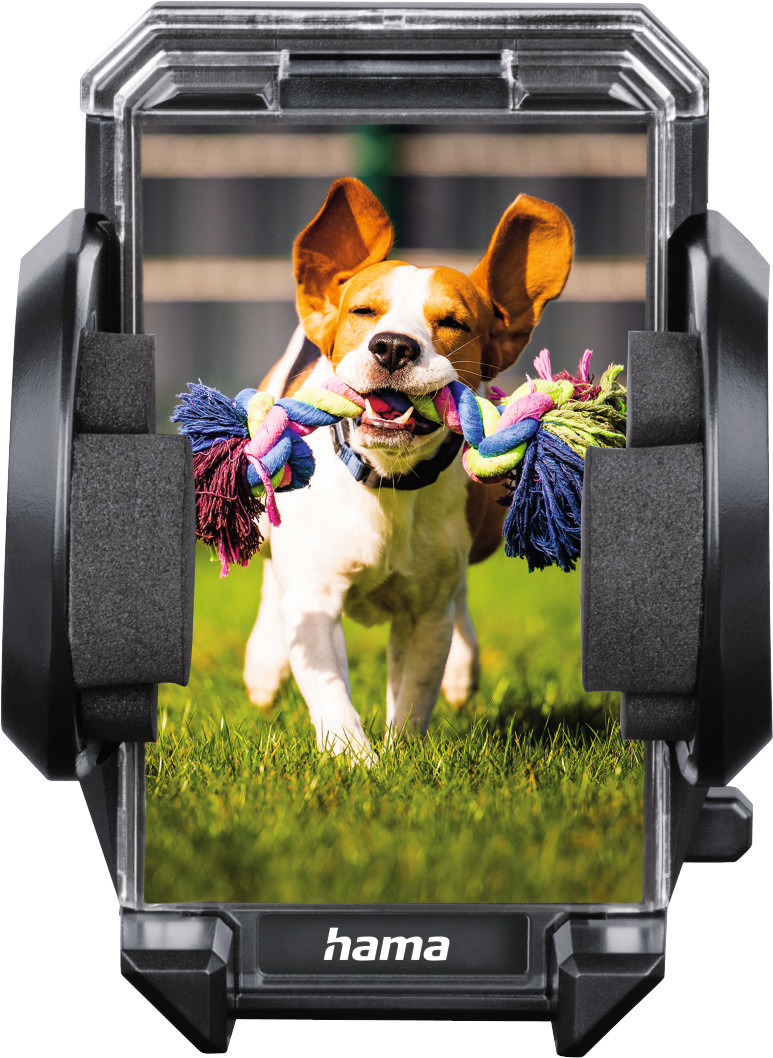Un chien avec un jouet dans un support de téléphone. Le chien court sur l'herbe. L'arrière-plan est flou.
