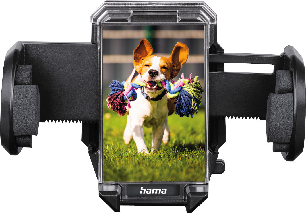 Support de téléphone de voiture avec photo de chien. Fond d'herbe verte.