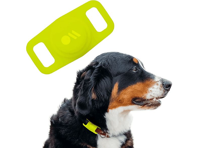 CASE-MATE Halterung für AirTags Hundehalsband Halterung