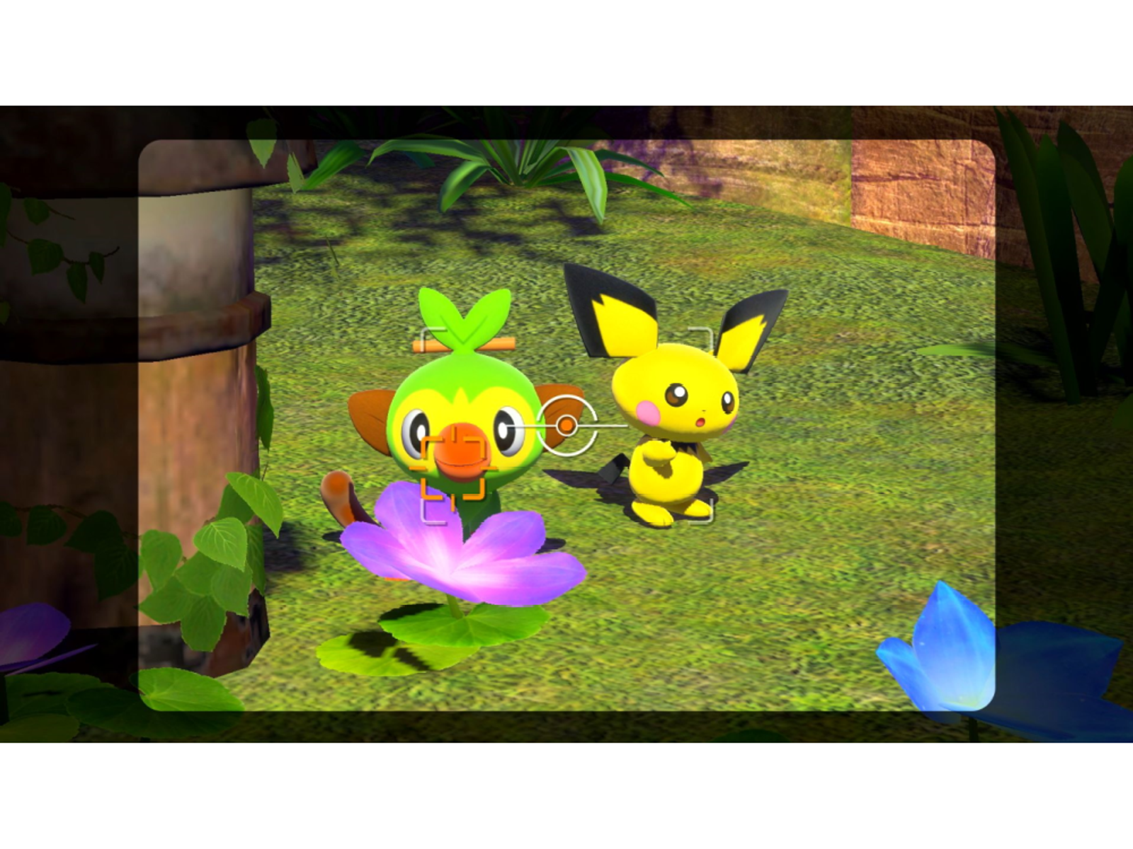 Zrzut ekranu z gry, pokazujący dwa Pokemony na trawiastym obszarze z ramką aparatu.