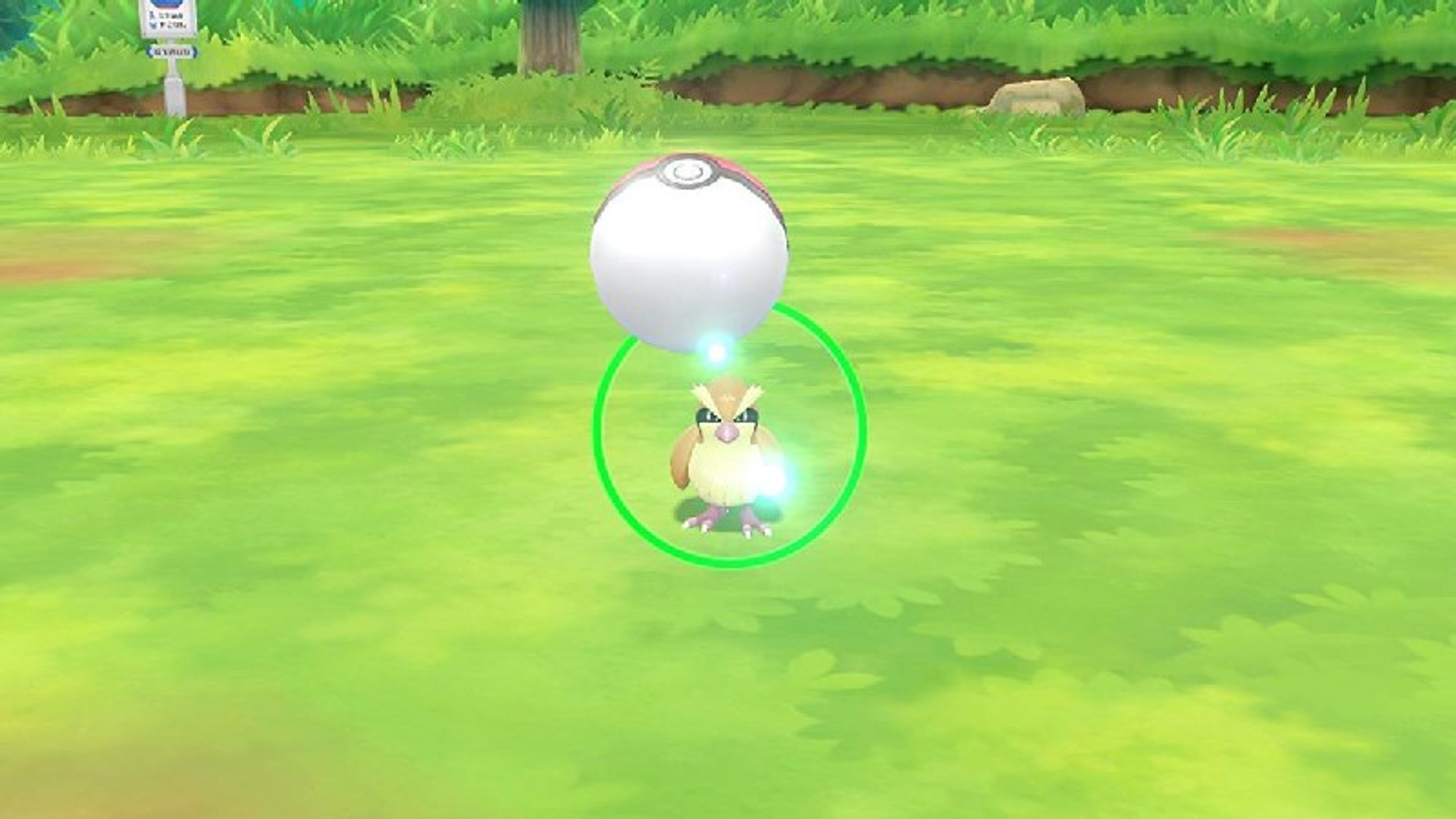 Scena z gry Pokemon: brązowe stworzenie podobne do sowy jest blisko białej i różowej piłki na zielonej trawie.