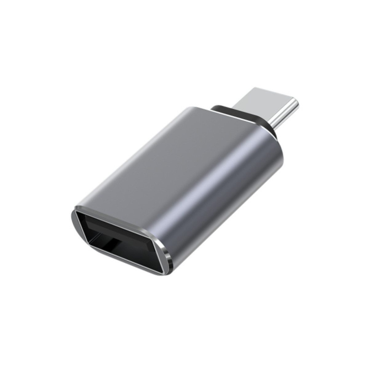 INF USB-C-auf-USB-3.1-Adapter Adapter