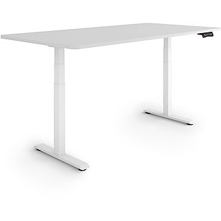 ESMART EZX-132WG 160 x 80 cm elektrisch höhenverstellbarer Schreibtisch