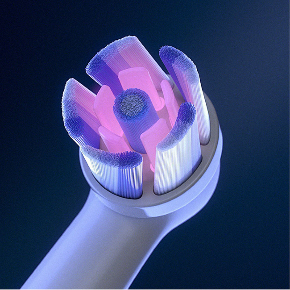 Zbliżenie główki szczoteczki elektrycznej z różowymi i niebieskimi włosiem.