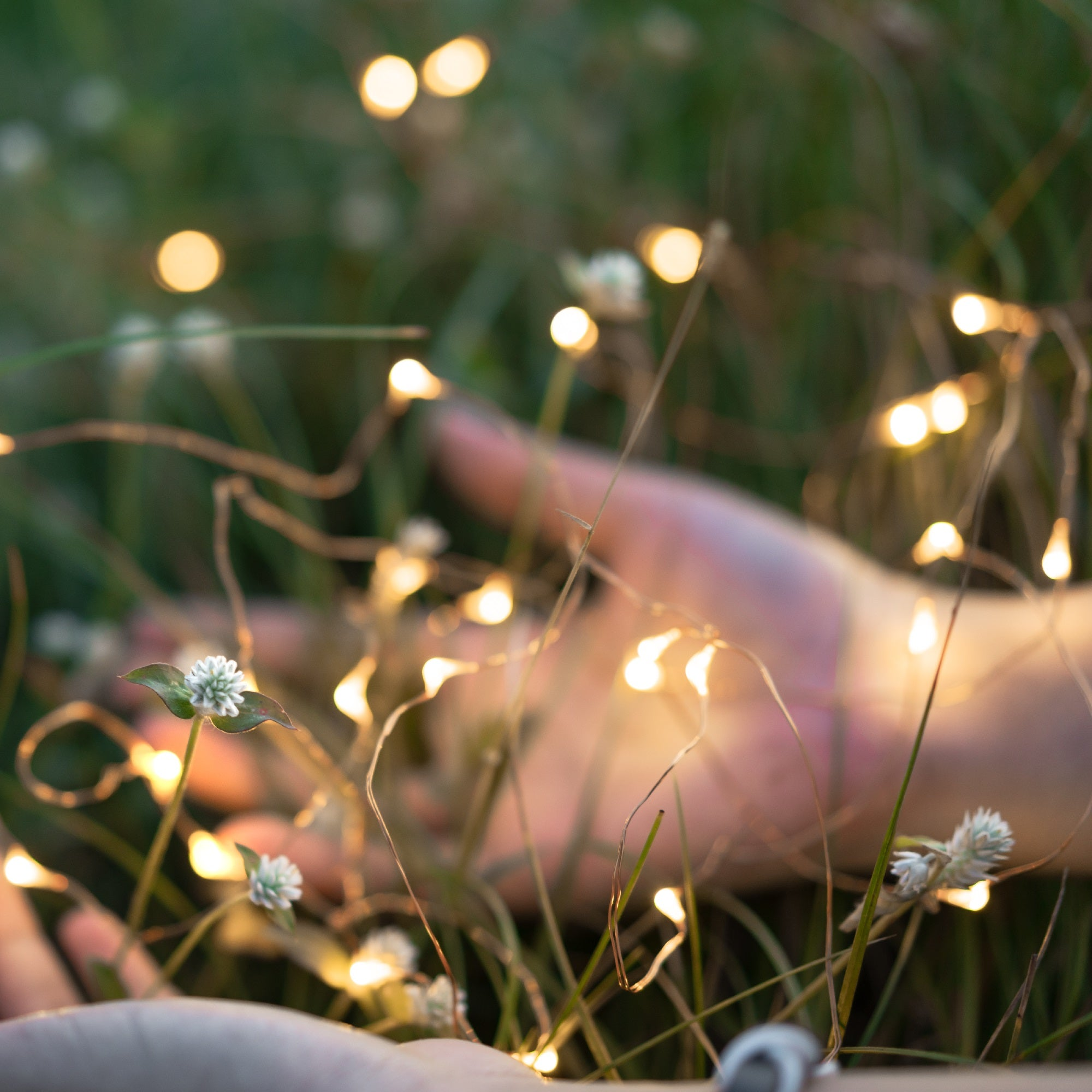 Nahaufnahme von Händen im Gras, mit Lichterketten. Die Lichter sind golden und unscharf.