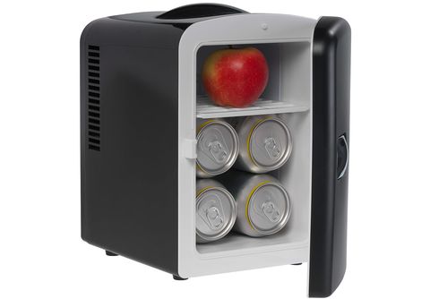 LINGDA Mobiler Mini-Kühlschrank (6 Liter, 12V, Schwarz) Kühlbox (9