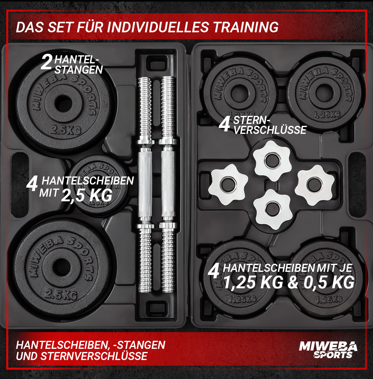 Hanteln in einem Koffer mit Hantelscheiben. Das Set enthält Scheiben, Stangen und Sternverschlüsse.