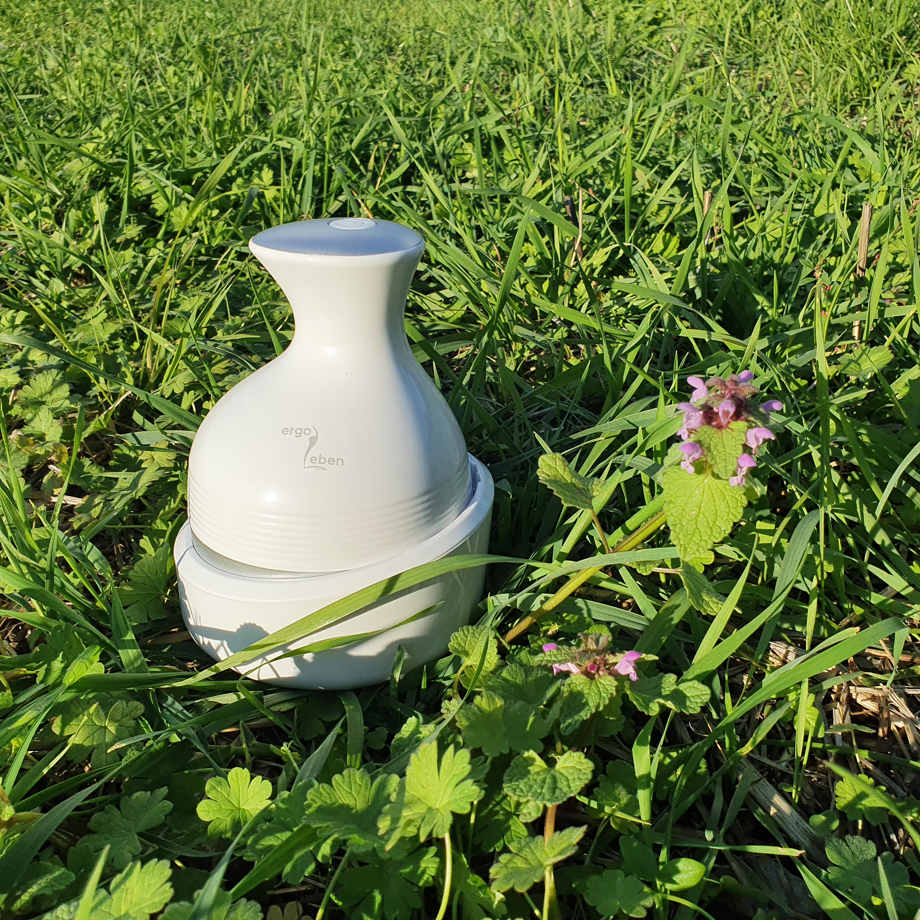 Weißes Massagegerät im grünen Gras mit kleinen lila Blumen.