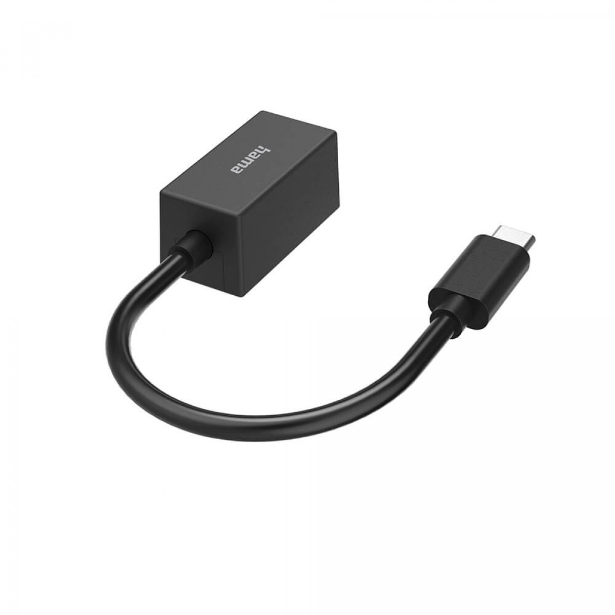 Schwarzer USB-C-Adapter. Schwarzes Kabel verbindet USB-C und Adapter. Weißer Hintergrund.