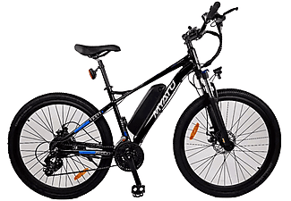 einsteiger e bike damen