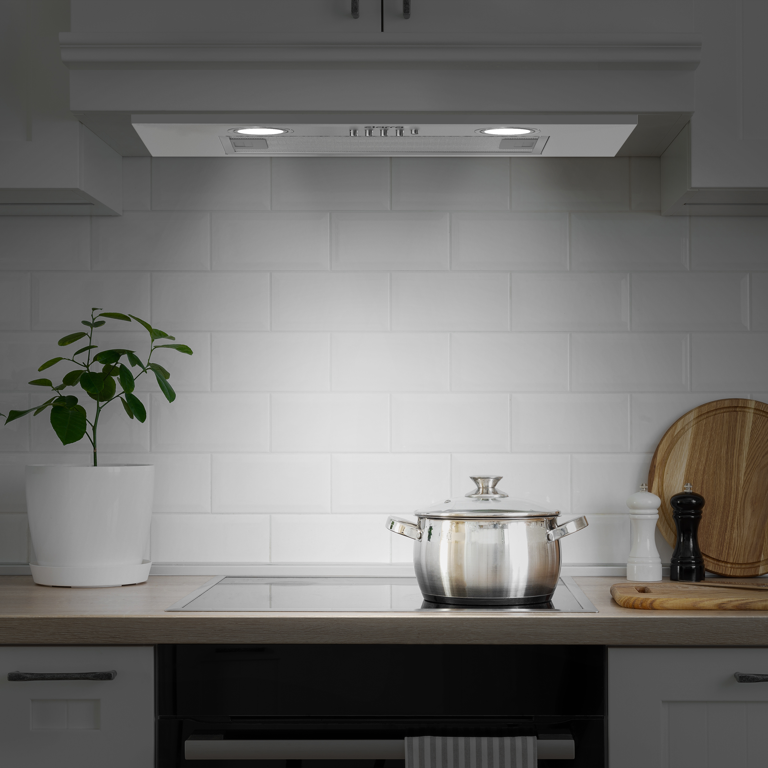 Kitchen scene with a range hood above a stove. A pot is on the stove, and a plant and cutting boards are nearby.