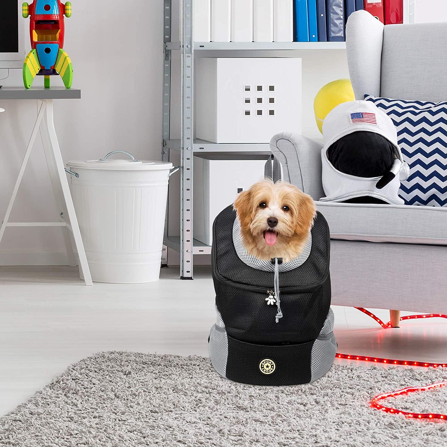 A dog in a backpack in a room, with toys and furniture.