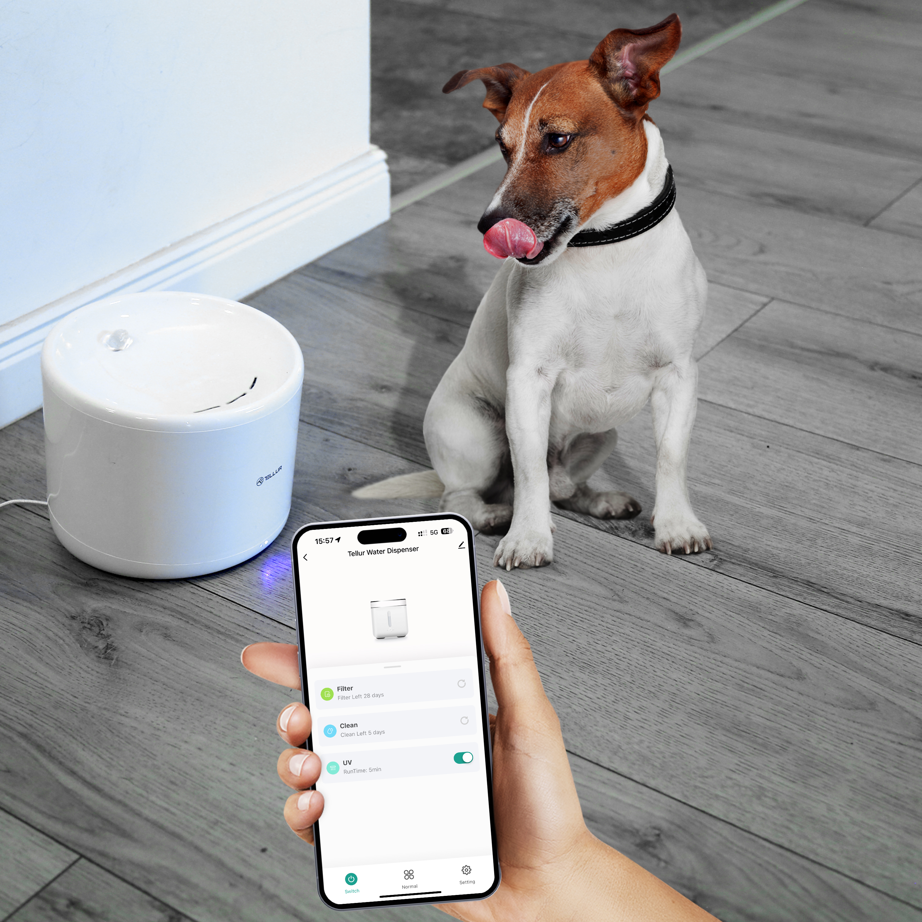 Hund sitzt neben Wasserspender; Hand hält Telefon mit Spendersteuerung.