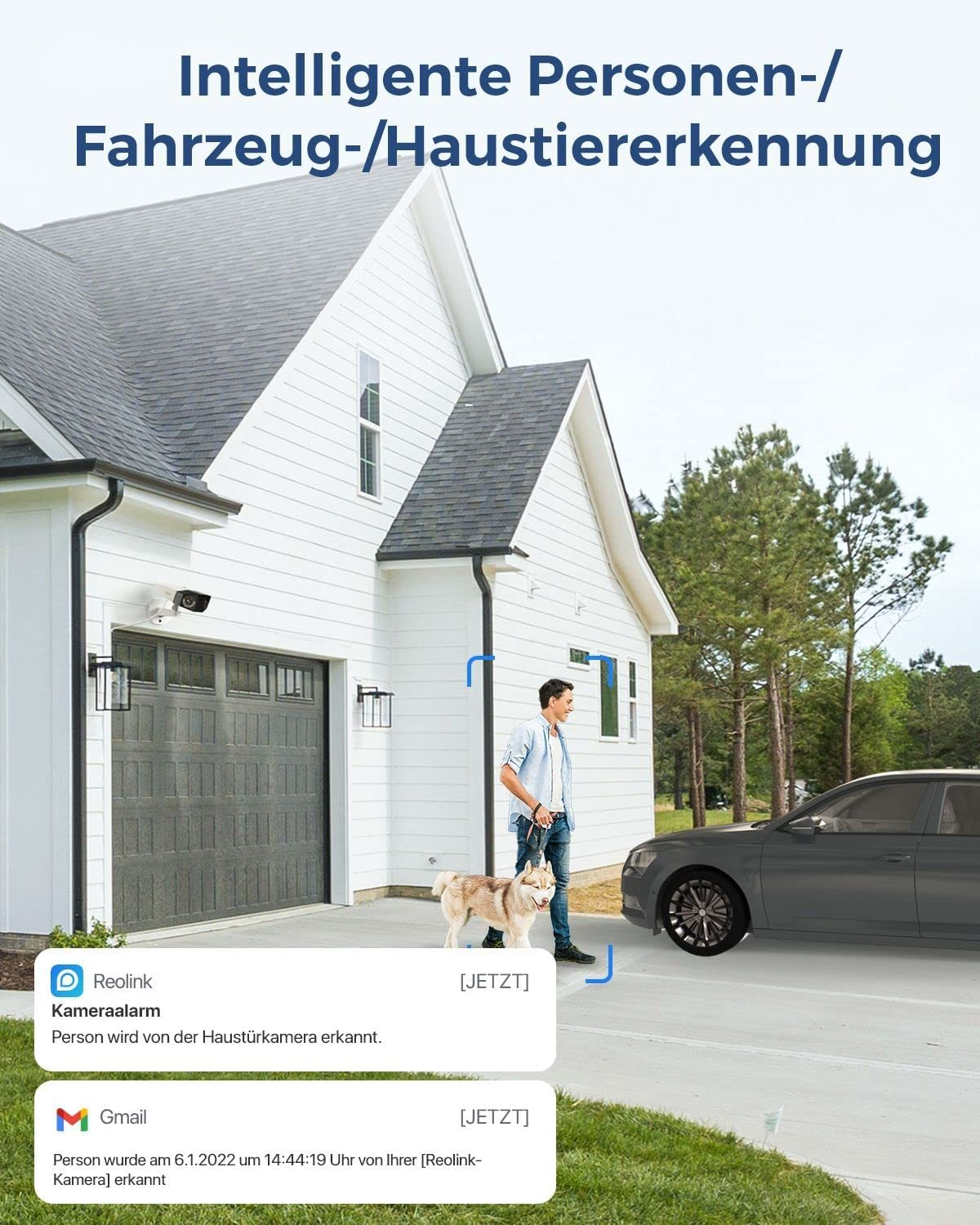 Pokazano dom z osobą i psem. Aparat jest zamontowany na ścianie. Wyskakujące powiadomienia.