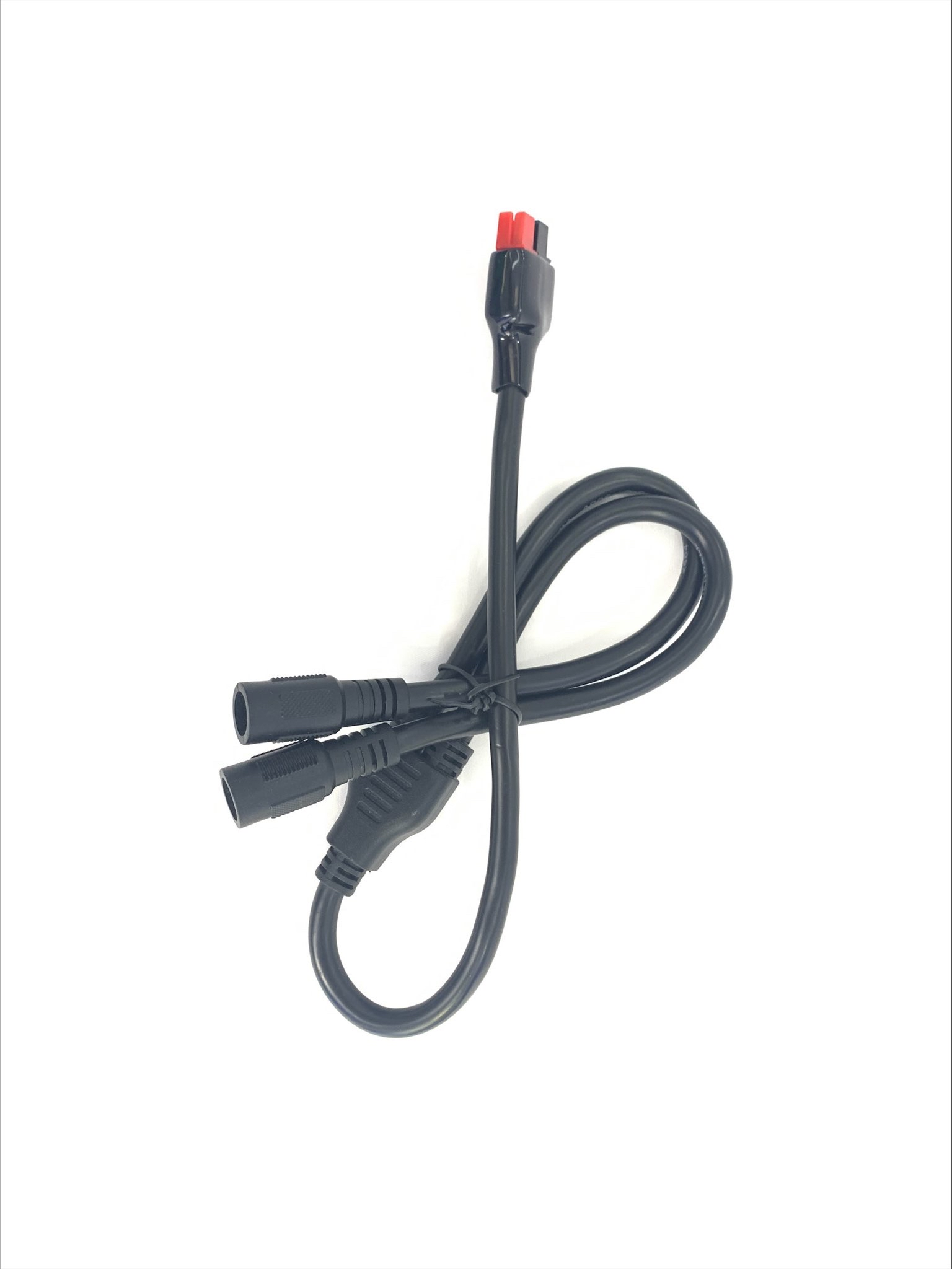 Ein schwarzes Kabel mit drei Anschlüssen: einem roten, zwei schwarzen. Alles auf weißem Hintergrund.