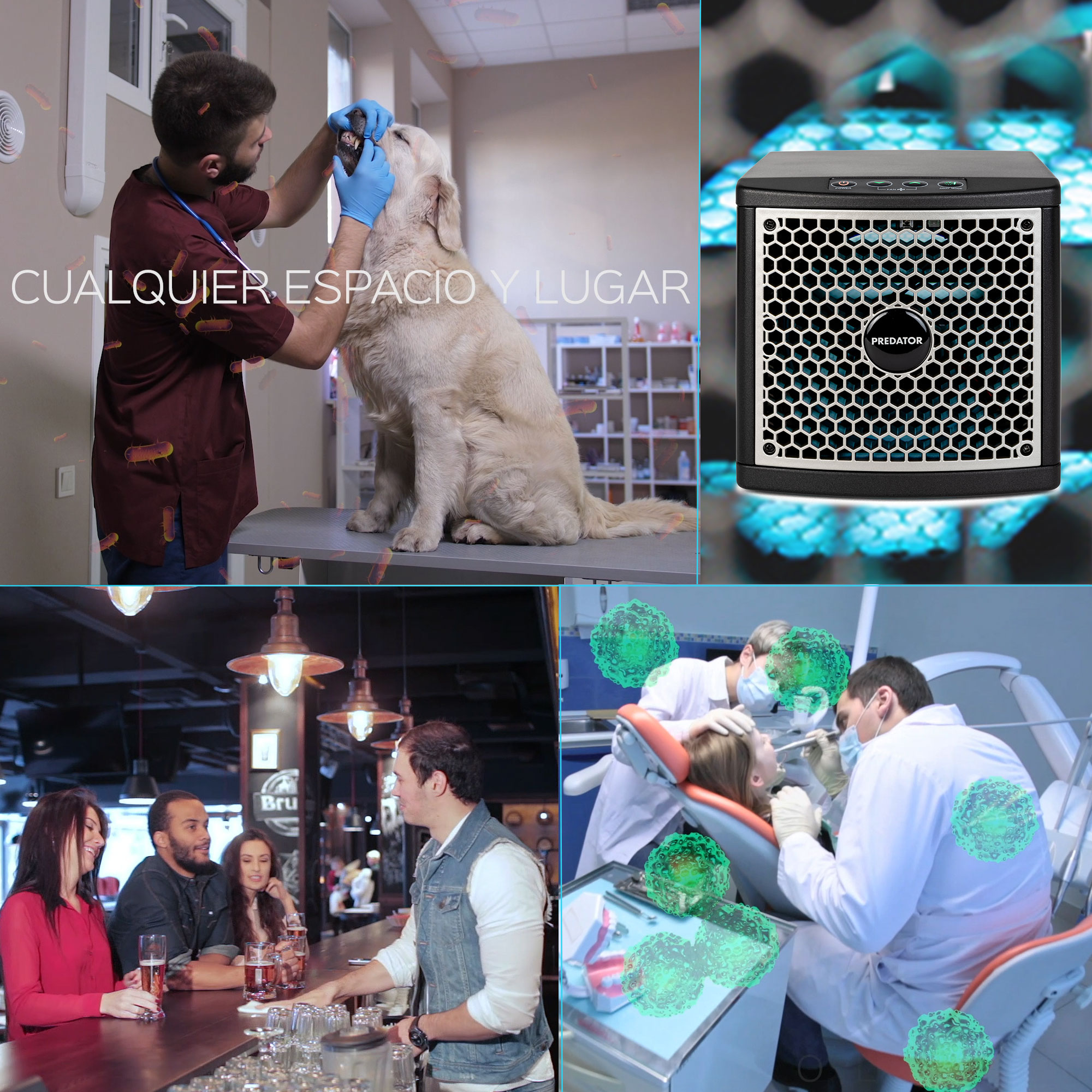 Eine Collage mit verschiedenen Szenen. Dazu gehören ein Tierarzt mit einem Hund, Leute in einer Bar und zahnärztliche Arbeiten.