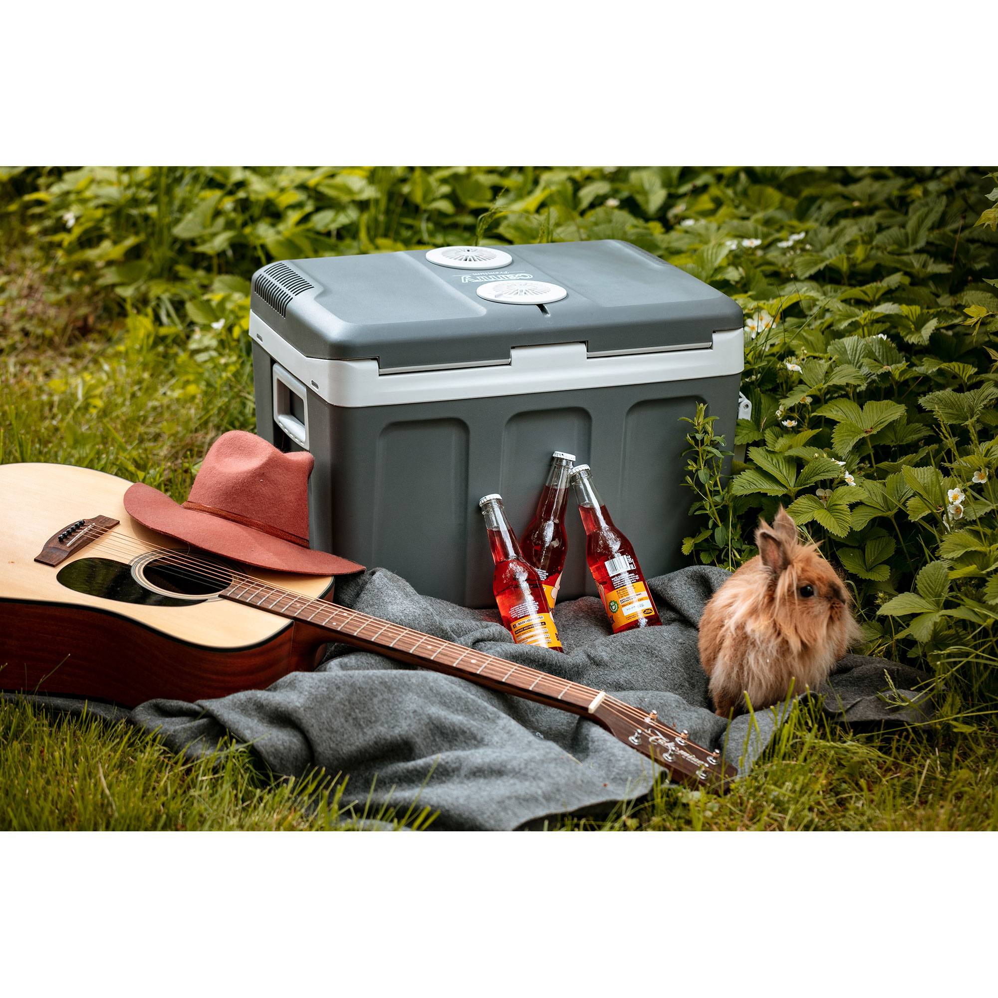 Gitara, lodówka piknikowa, butelki i królik na szarym kocu na trawie.