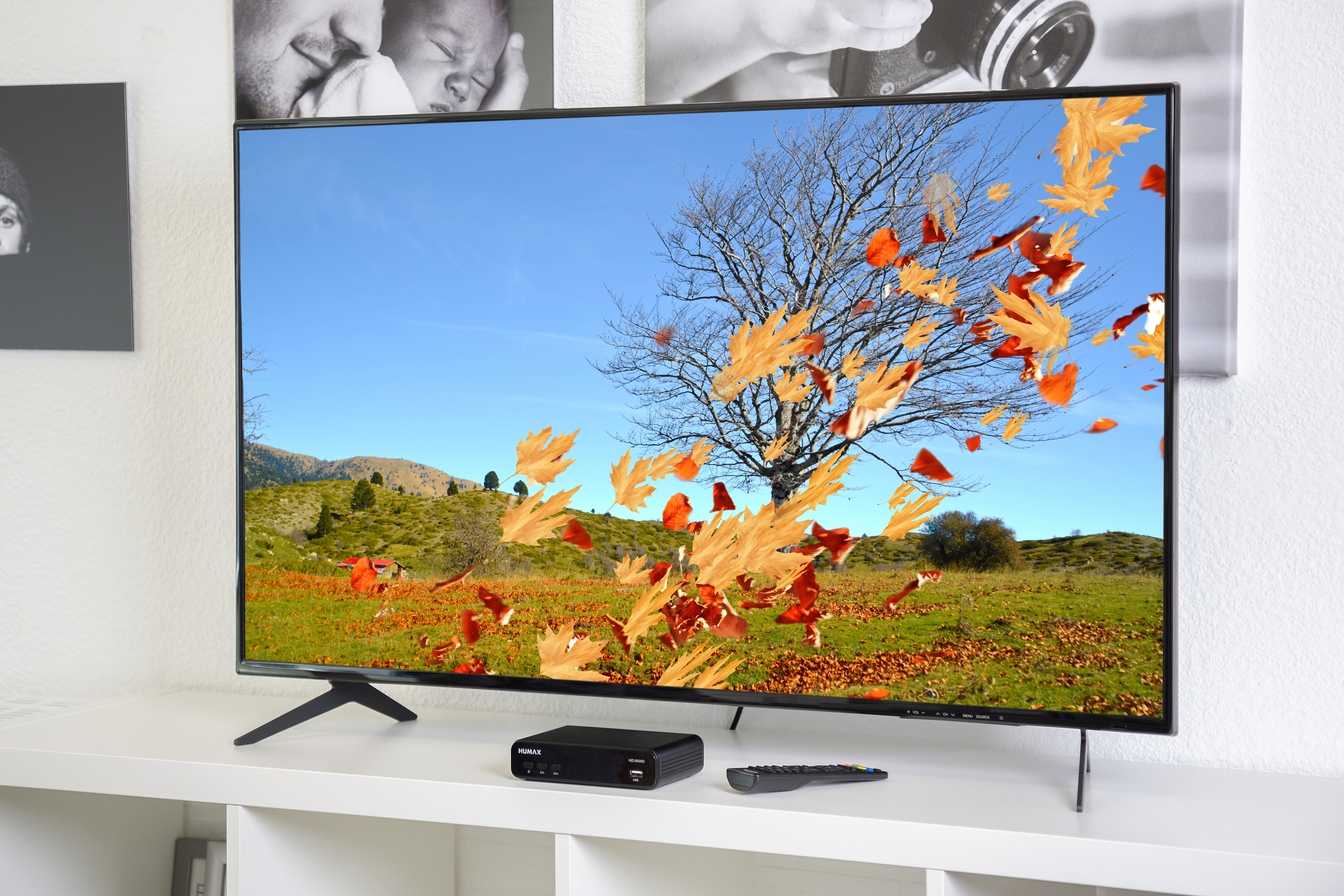 Ein Fernseher zeigt eine Herbstszene mit fallenden Blättern. Er steht auf einem weißen Schrank.