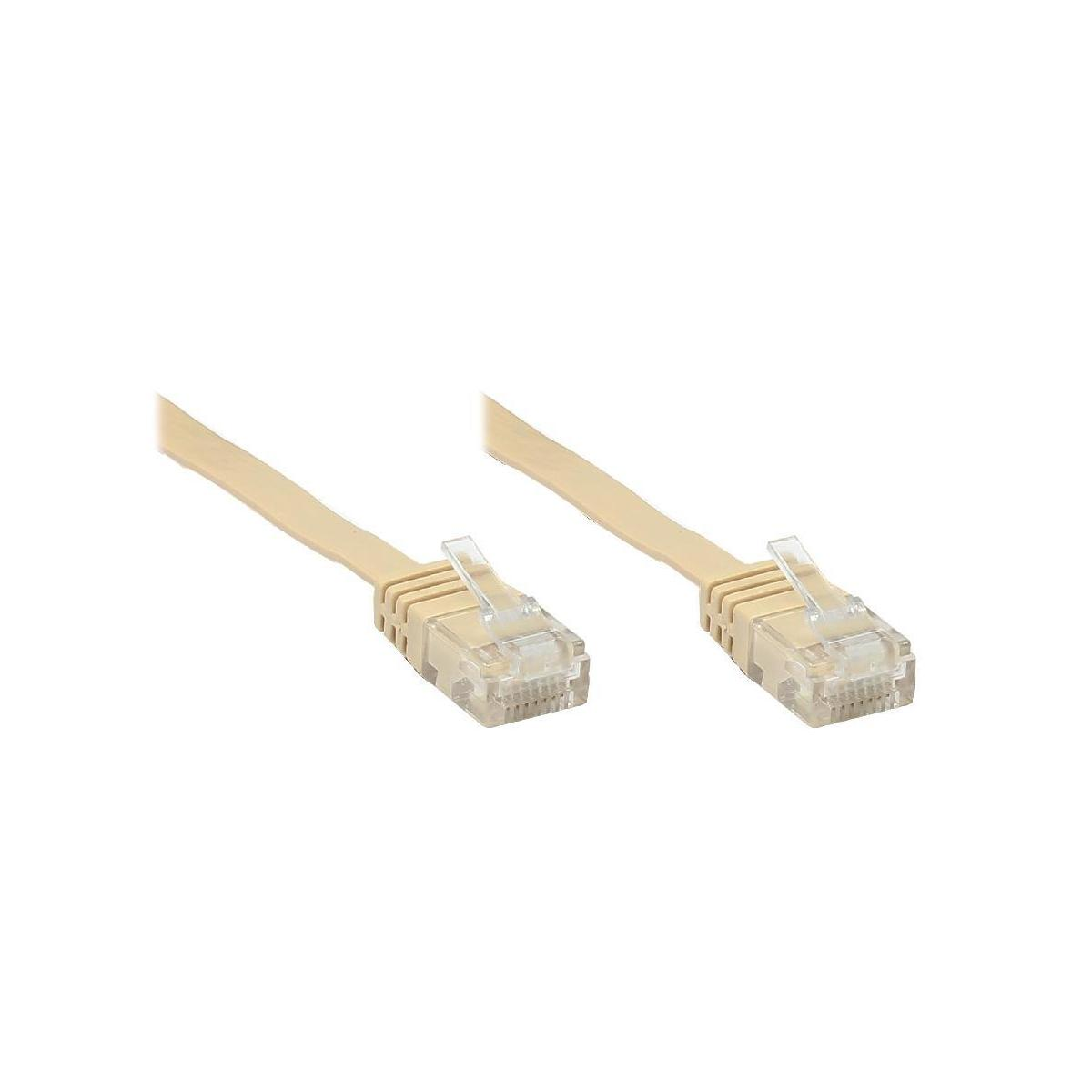 Zwei beige Ethernet-Kabel mit transparenten Steckern sind auf einer weißen Oberfläche zu sehen.