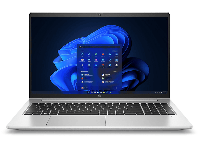 HP ProBook 455, fertig installiert und aktiviert, Office 2021 Pro, Notebook mit 15,6 Zoll Display, 8 GB RAM, 250 GB SSD, AMD Radeon RX Vega 7, Pike Silver
