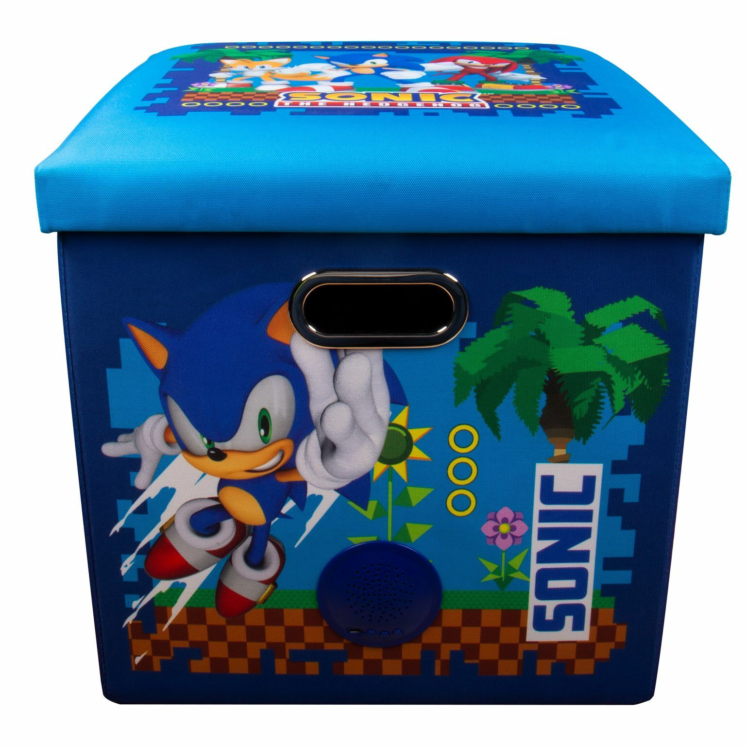 Sonic the Hedgehog Aufbewahrungsbox mit blauem Deckel und Seiten, verziert mit Spielgrafiken.