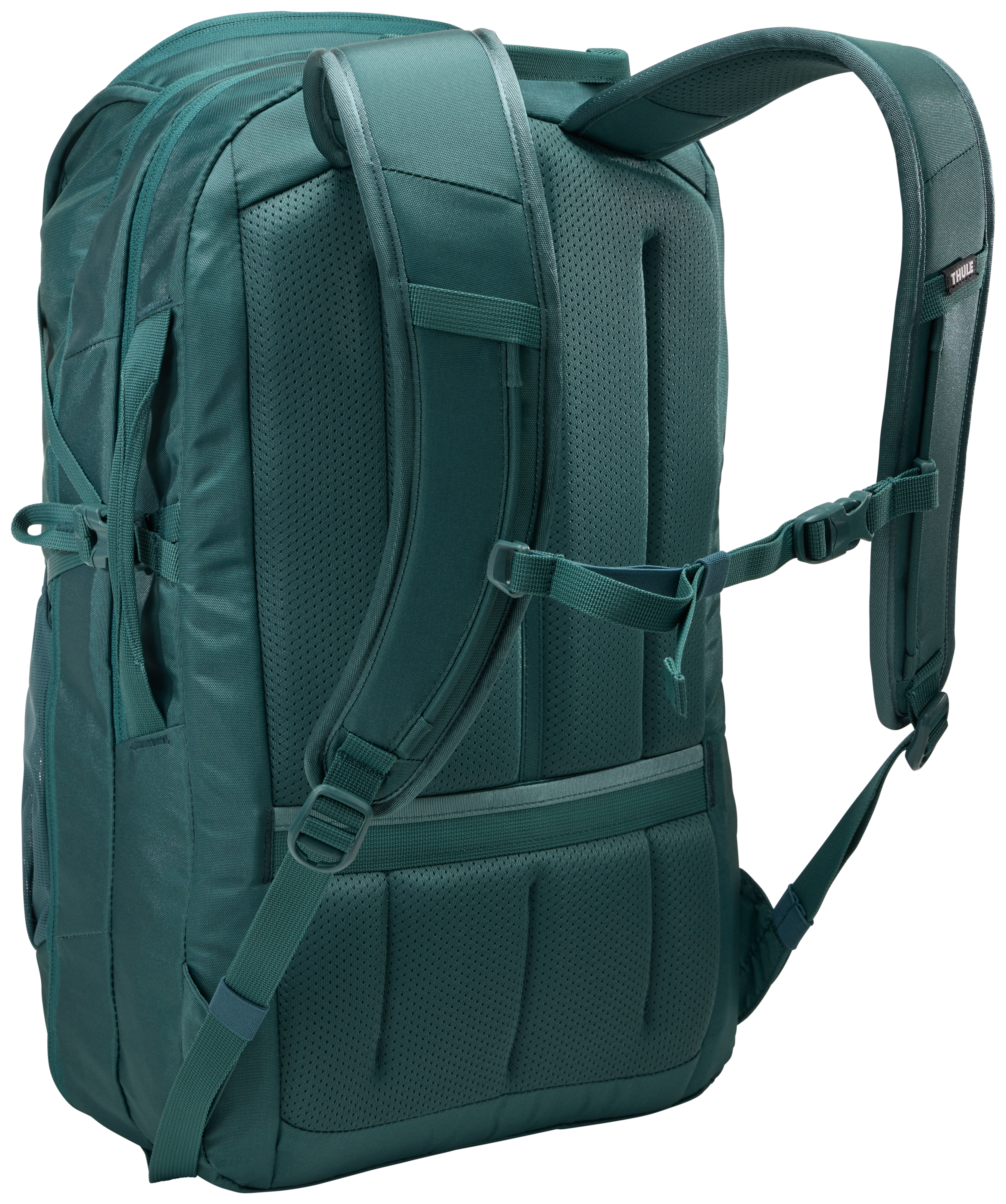 Grüner Rucksack Rückansicht. Gurte und Polsterung sind sichtbar.