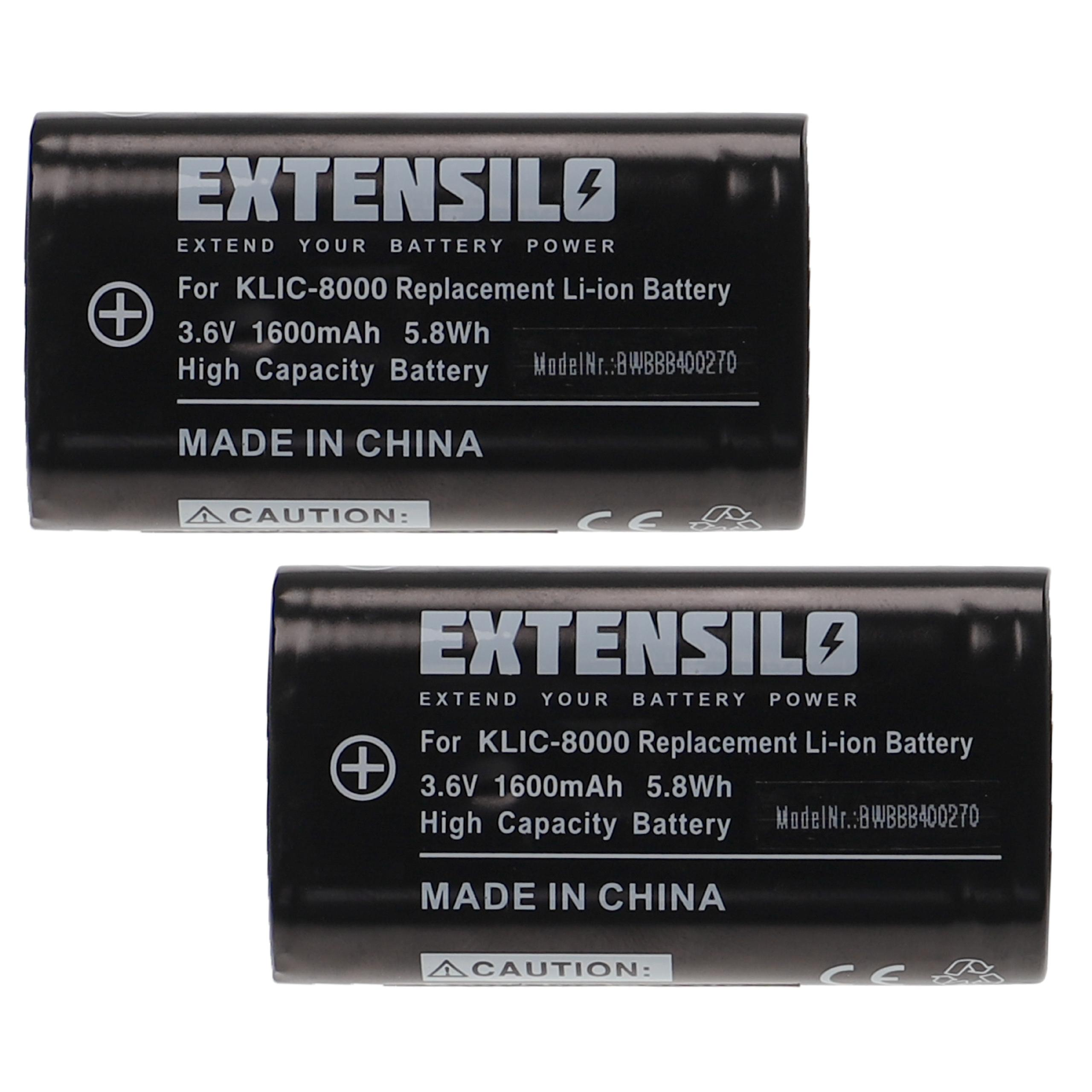 Zwei schwarze Batterien mit weißem Text. Sie sind mit 'EXTENSILO' und 'MADE IN CHINA' beschriftet.
