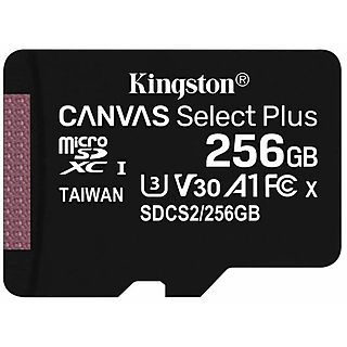 Tarjeta Micro SD - KINGSTON SDCS2/256GBSP