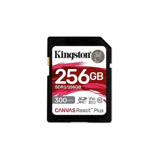 Tarjeta Micro SD - KINGSTON SDR2/256GB