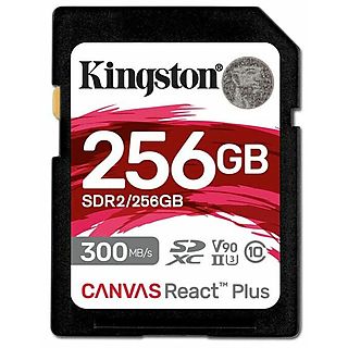 Tarjeta Micro SD - KINGSTON SDR2/256GB