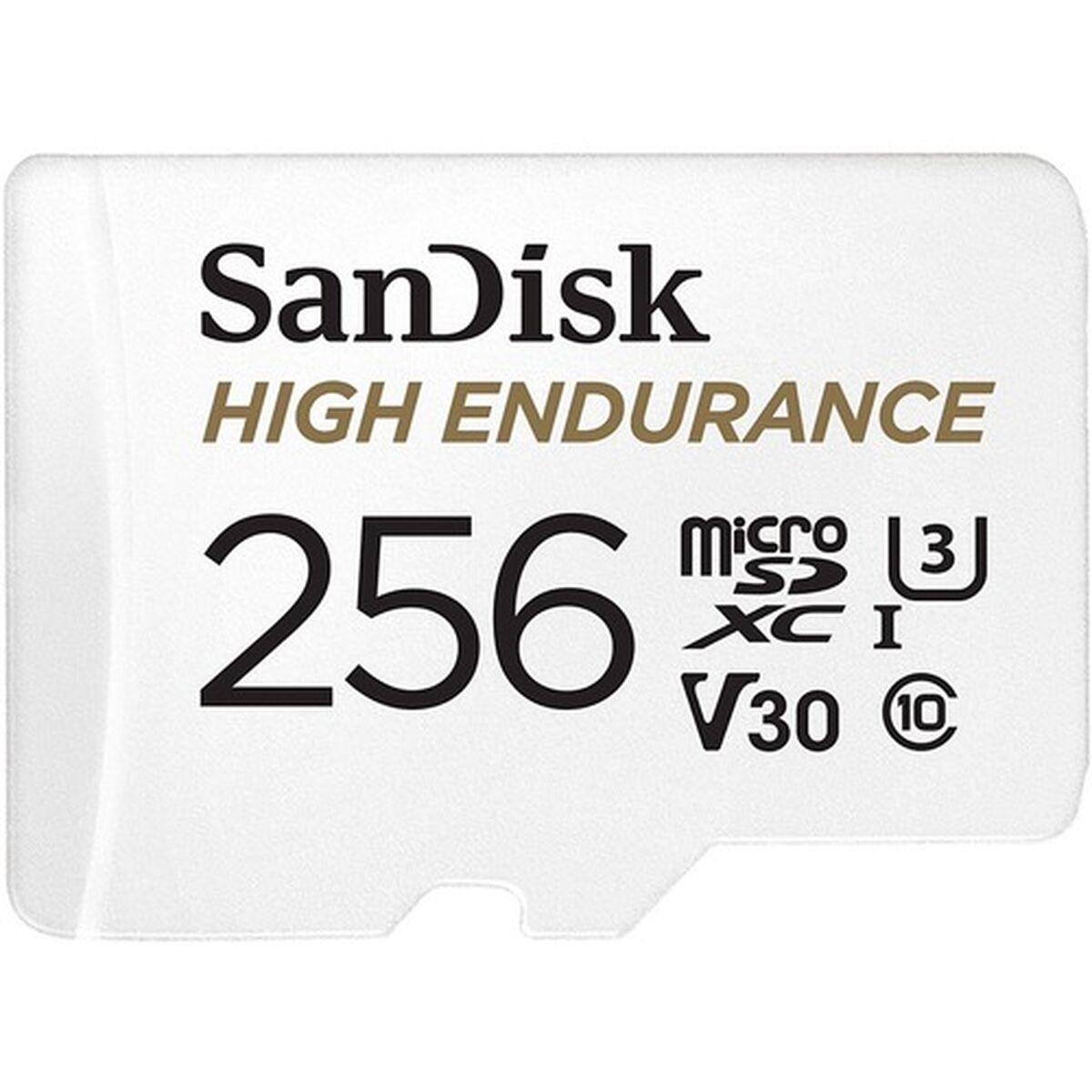 MB/s 256 MSDXC GB, SDSQQNR-256G-GN6IA HIGH Speicherkarte, SANDISK 100 ENDUR, Micro-SD