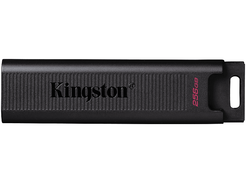 KINGSTON DTMAX/256GB USB Stick (darkslategray, 256 GB)