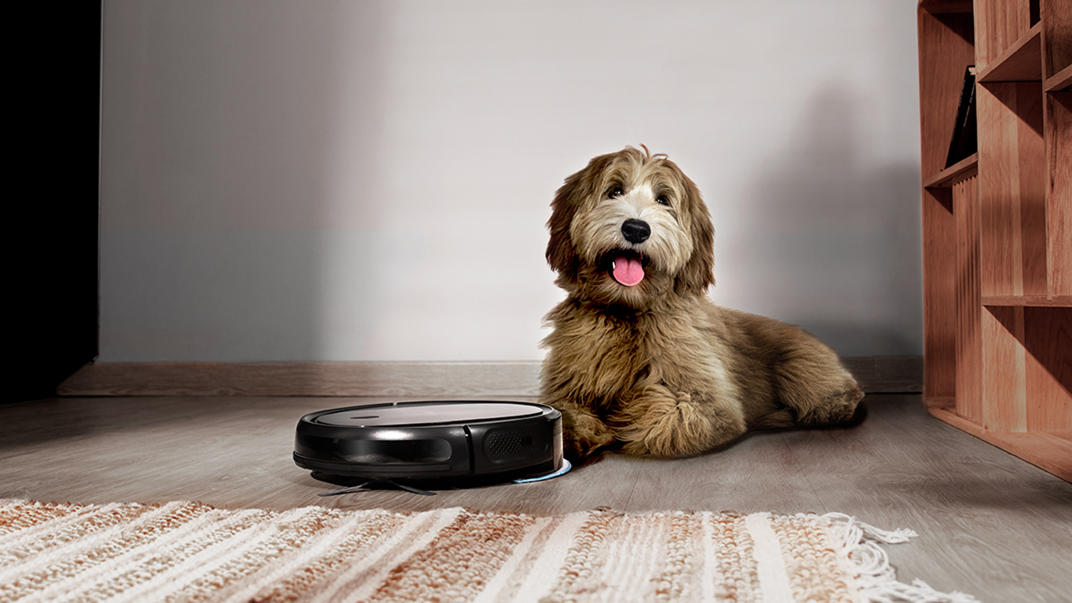 Cane sdraiato sul pavimento con un aspirapolvere robot. Stanza con tappeto e mensola in legno.
