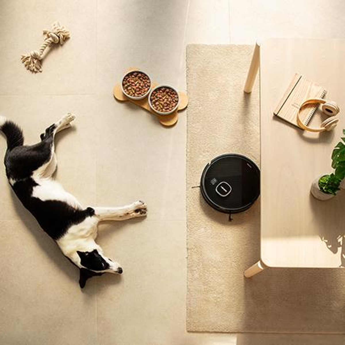 Un cane sdraiato sul pavimento, un aspirapolvere robot, ciotole e accessori.