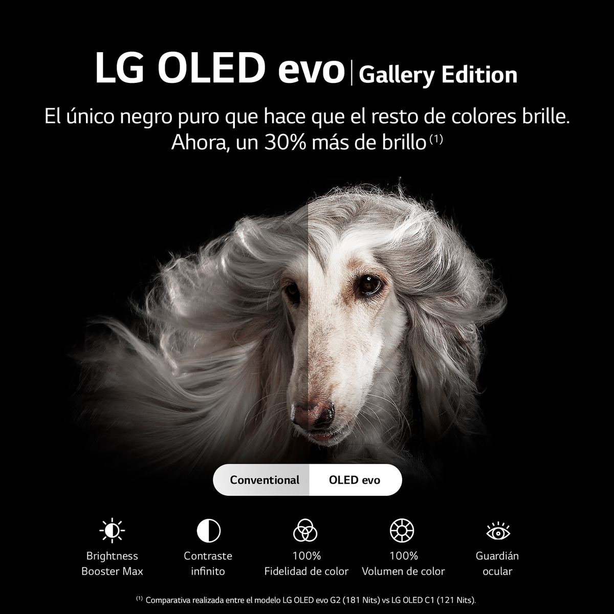 Un'immagine che confronta due ritratti di cani con diverse tecnologie di visualizzazione.