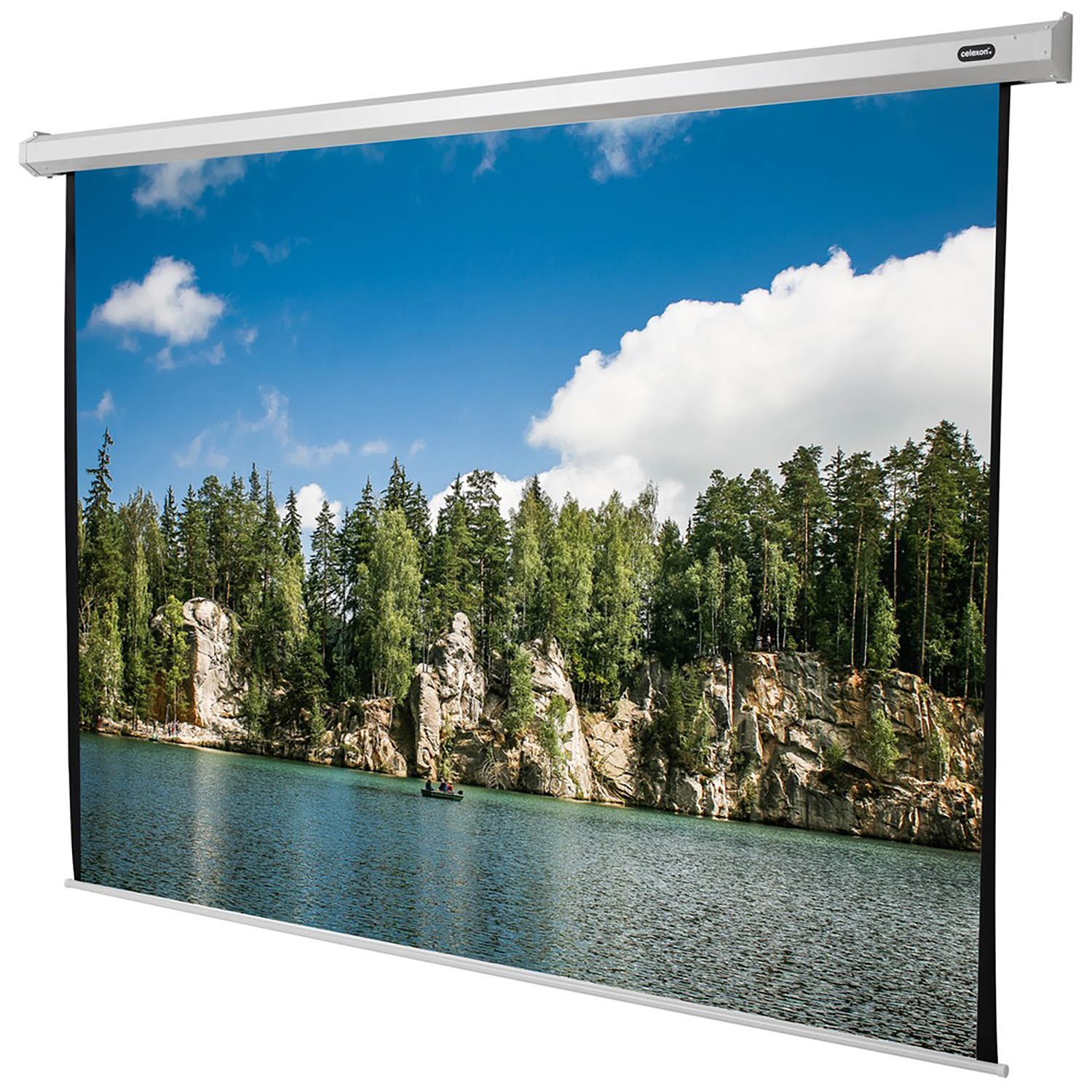 Pantalla para proyector - CELEXON celexon Básica motorizada 300 x 300 cm